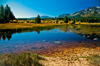 Clean lake about us